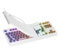 Genesis THOR 230 TKL US RGB MECHANICZNA OUTEMU BROWN BIAŁA HOT SWAP NKG-2080 - 1351042 - zdjęcie 8